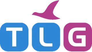 TLGG Consulting Group